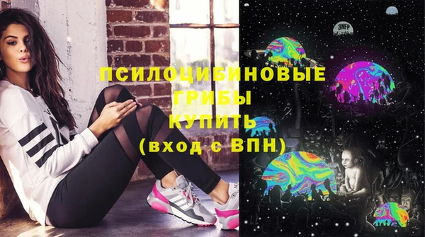 дурь Лабытнанги