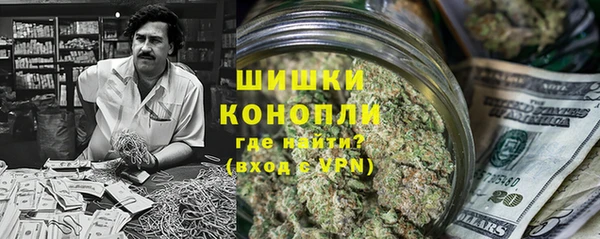 PSILOCYBIN Ладушкин