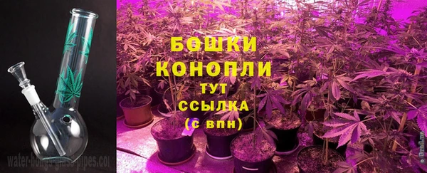 дурь Лабытнанги