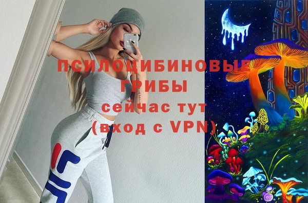 дурь Лабытнанги