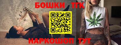 МДПВ Дубна