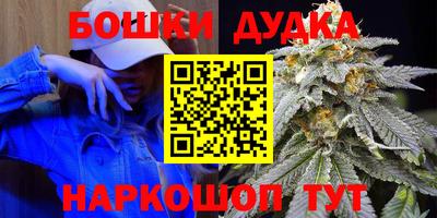 МДПВ Дубна