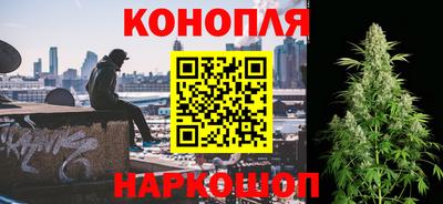 МДПВ Дубна