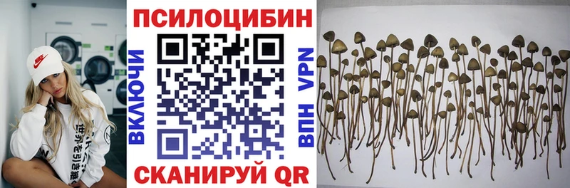 mega ONION  Шахты  Галлюциногенные грибы мухоморы 