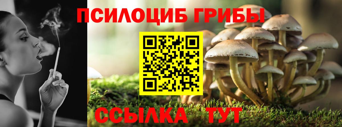 Галлюциногенные грибы прущие грибы Шахты